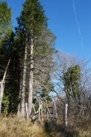 Harpausoa mendebaldeko bizkarrean