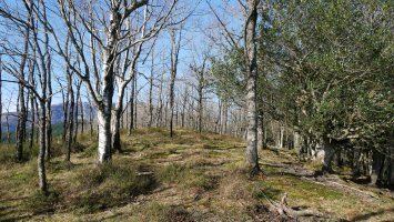 Tontorraren inguruak, Mendiurkillo