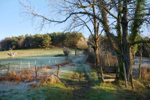 Otzaurtetik abiatzen den bidea