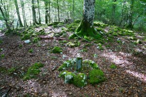 Lardamingo trikuharria