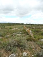 Kandaraitz trikuharria