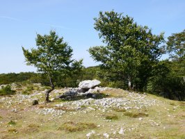 Larrazpil trikuharria