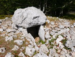 Larrazpil trikuharria