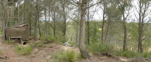 Kandaraitz hegoaldeko gailurra