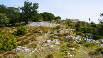 Larrazpil trikuharriaren inguruak