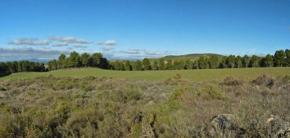 Kandaraitzko gainaldea