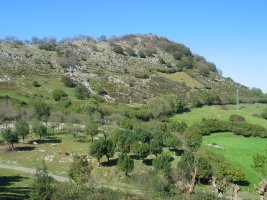 Ekialdeko isurialdea