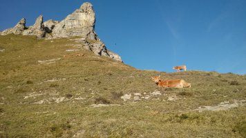 Iturrigorri (1073m) Menditu aldetik igotzen