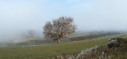 Haritza mendi gainaldean