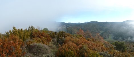 Lanbroak hartutako paisaia