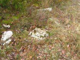 Tako geodesikoa gailurreitk hurbil