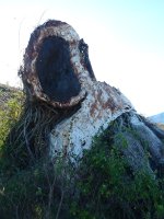 Burezurra Desvelados parkean