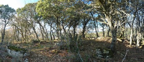 Guruguko ipar gailurra