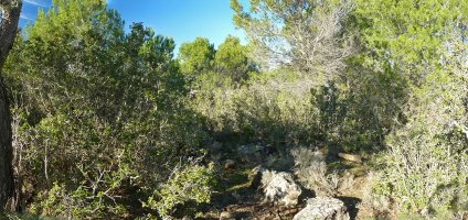 Gurugu hegoaldeko gailurra