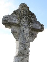 La Cruz kruzeroa, Berriobeiti