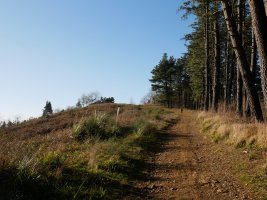 Ekialdeko bizkarreko bidea