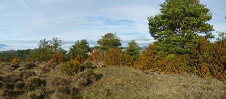 Zelaigaineko gailurra