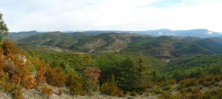 Panorama Egurzanotik