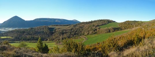 Erbiain, Zenborain aldetik