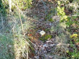 Seinale geodesikoa gailurrean