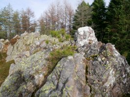 HEko muino harritsua, Arnabar