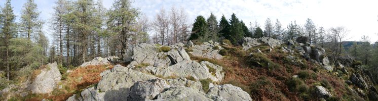 HEko muino harritsua, Arnabar