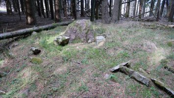 Basaburu  trikuharria, Urdelar