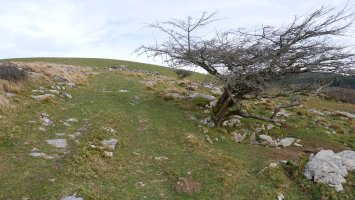 Belabietako azken metroak, Mtik