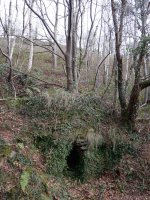 Karobi txiki bat bide bazterrean