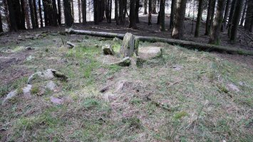 Basaburu  trikuharria, Urdelar