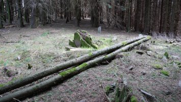 Basaburu  trikuharria, Urdelar