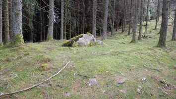 Belabieta Txiki Trikuharria