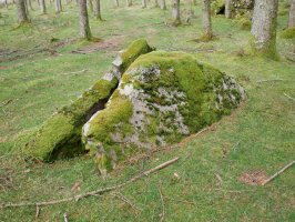 Belabieta Txiki Trikuharria