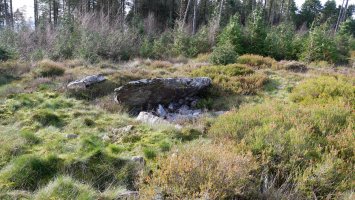 Loa trikuharria, 2020ko urtarrila