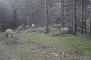 Túmulo Itxupeaka (Enero 2020)