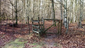 Araba eta Nafarroa arteko langa