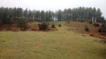 Larrazkondo (779m) Hego-ekialdetik igotzen