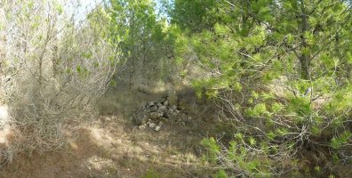 Vaquerizako gailurra