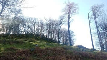 Labeaga (971m) azken zatia iparraldetik igoz