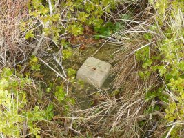 Tako geodesikoa Matute gainean