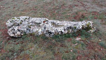 El Pelado de Aletxa zutarria, Arraia-Maeztu