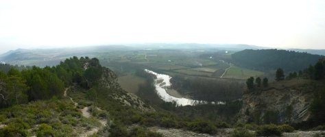 Arga gaineko malkarrak