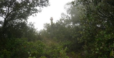 Legardetako gailurra (567m)