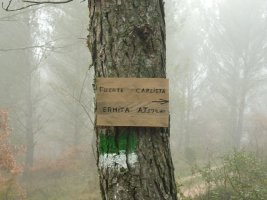 Bide markatua gialurerraino