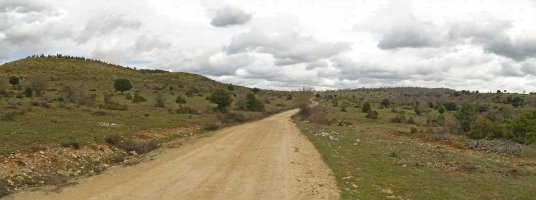 Pista goiko larreetan barrena