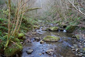 Erreka Olazar parean, Larraul