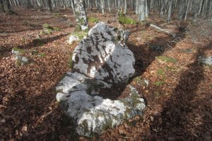 Monolito Intxartea  (Febrero 2020)