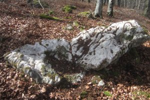 Monolito Intxartea  (Febrero 2020)