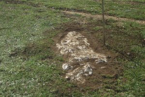 Monolito Lazeta (Febrero 2020)