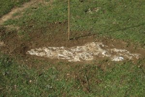 Monolito Lazeta  (Febrero 2020)